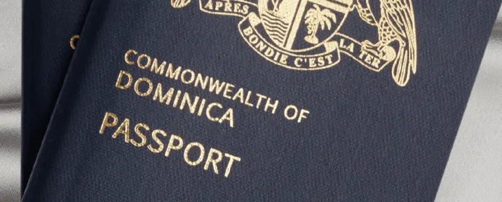 IMMIGRATION CORP.